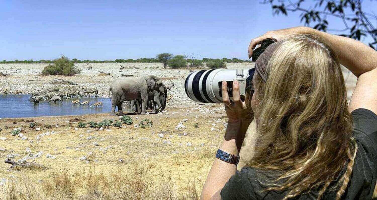 Camera Settings for Wildlife Photography