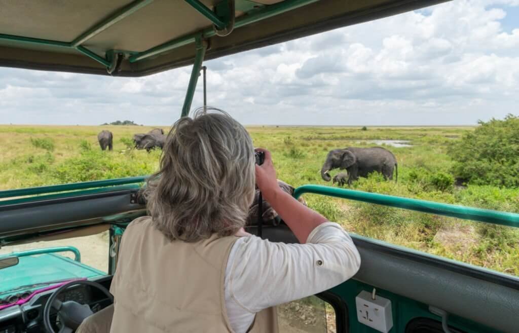 Wildlife Photography