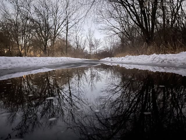 polarizer filter water reflection comparison
