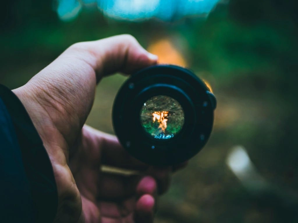 Gear macro photography