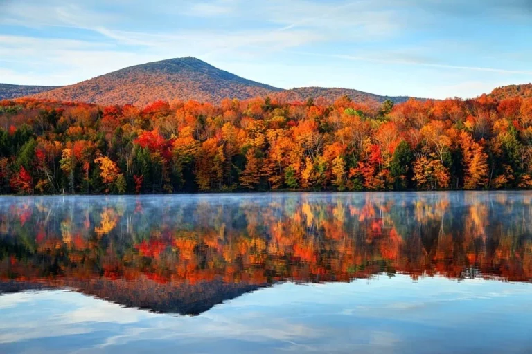 Autumn forest and mountain reflected in a calm lake