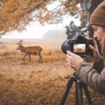 Cameras for Wildlife Photography