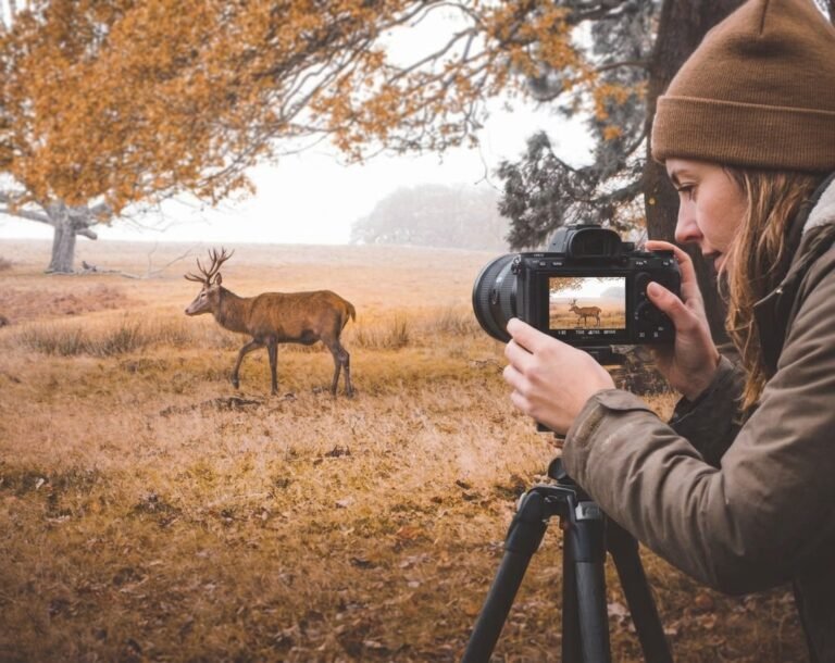Cameras for Wildlife Photography
