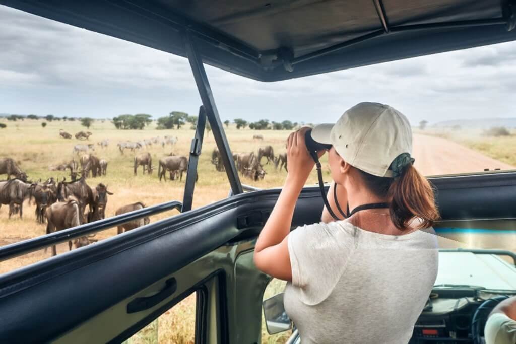 Wildlife Photography